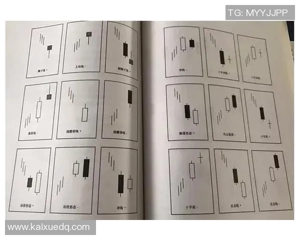 网球战术解析：探秘北京网球队的阵地战体系与实战应用