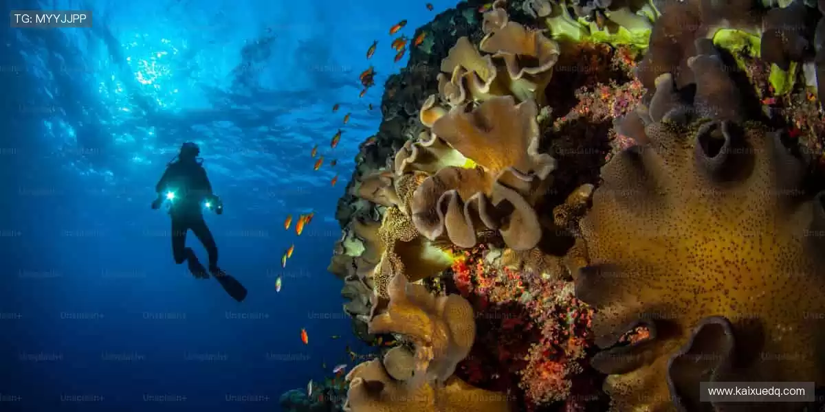 热血赛事，一触即发！🔥